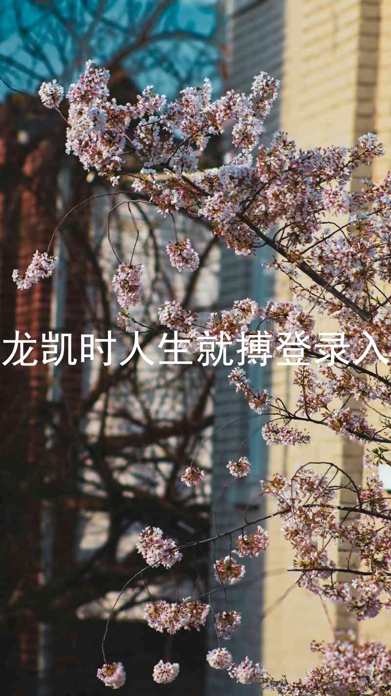 尊龙凯时人生就搏登录入口